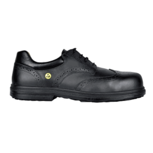 ESD Formal Range